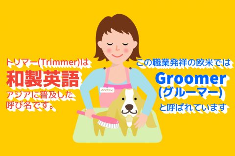 【日本职业】 トリマー／Pet Groomer／宠物剪毛师 【Japanese Occupations】